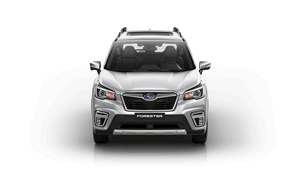 alquiler de carros en